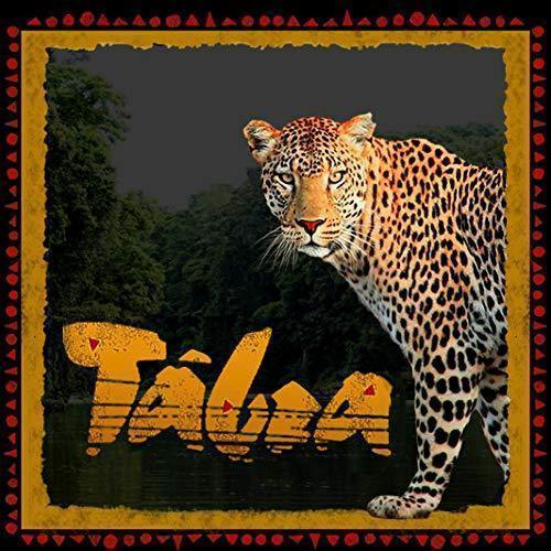 Tabra 925 Sterling Silver Tiger Eye Onyx Charm - Logo
