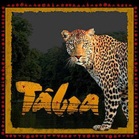 Tabra Jewelry 925 Sterling Silver Honey Amber Red Jasper & Green Turquoise Ring Size 5 00K522